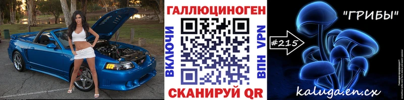 omg как войти  Кулебаки  Галлюциногенные грибы Magic Shrooms 
